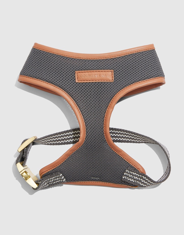 Country Road Alfie Pet Harness