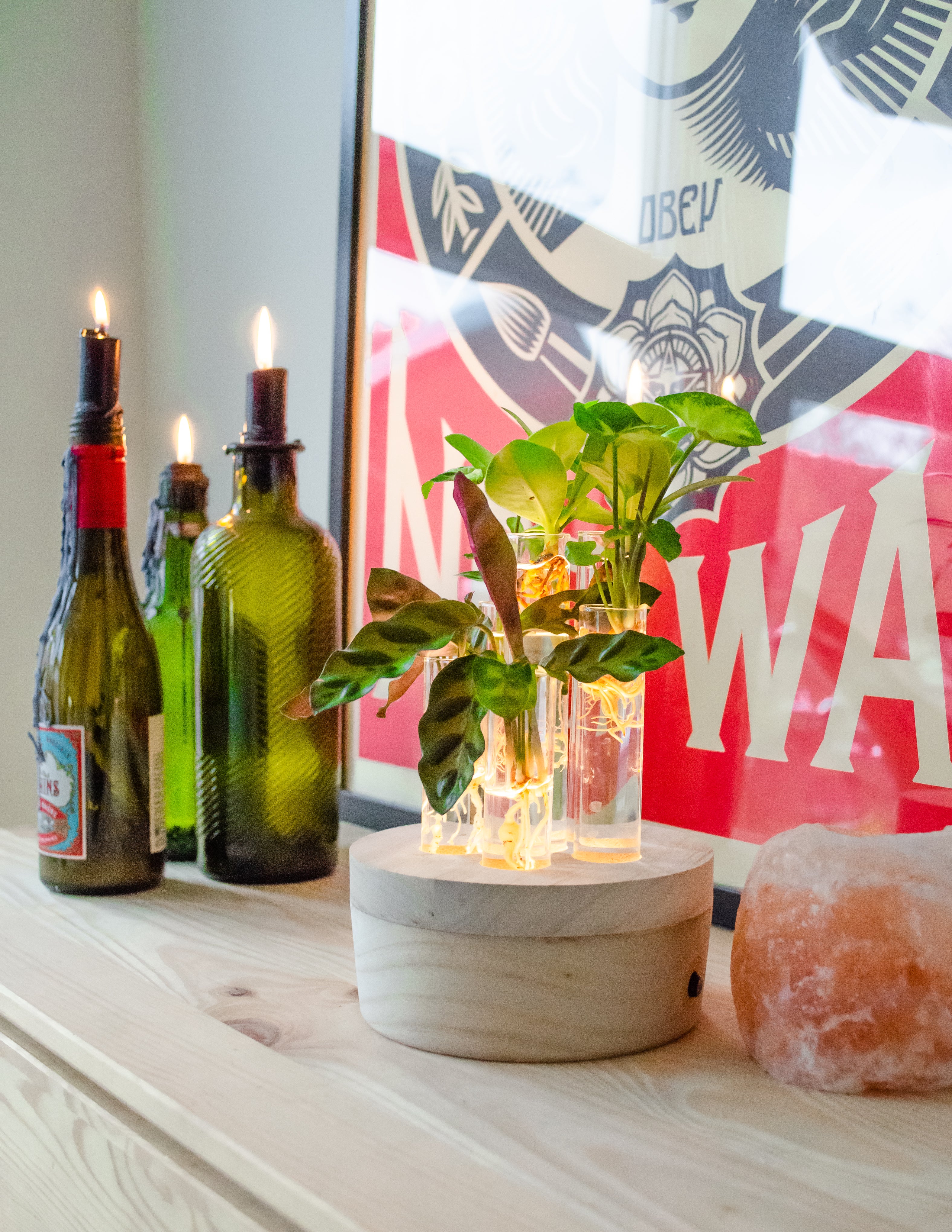 Stecklingsmix in Glas (mit LED-Beleuchtung) (S)