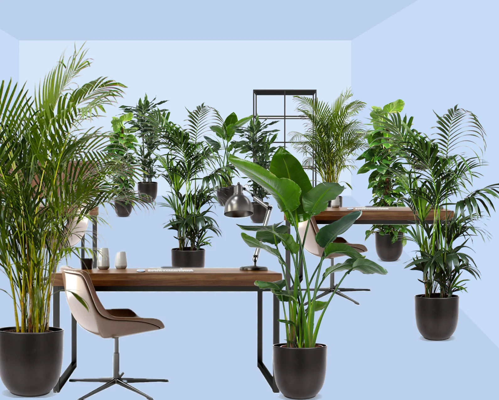 Die grünen Giganten