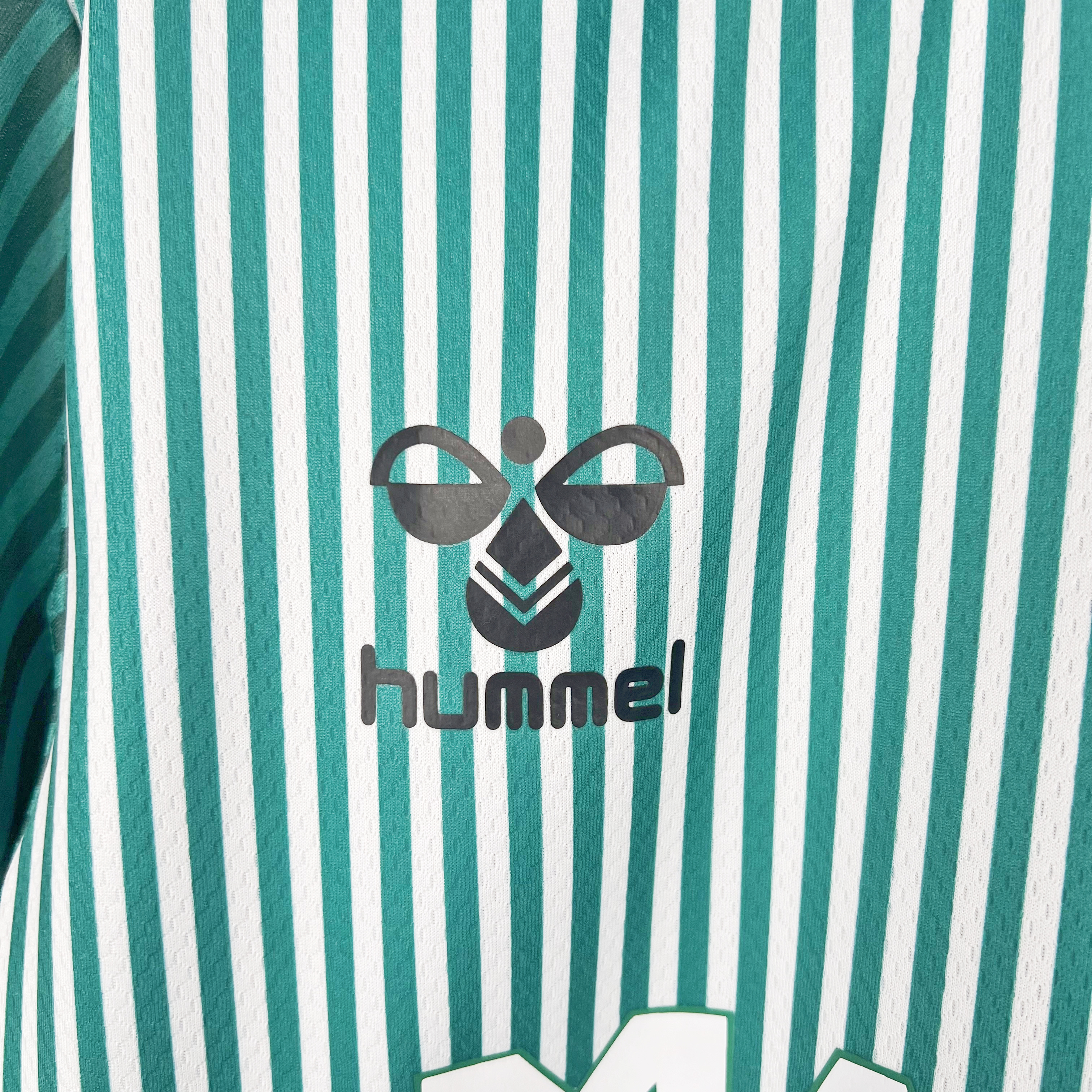 Werder Bremen 23-24 Home Stadium Jersey - Fans Version - SOCCERDEALSHOP