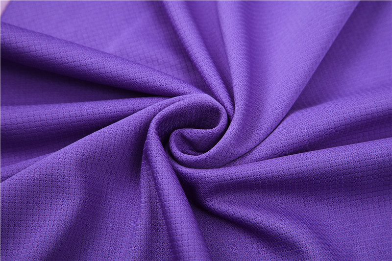 Germany 2024 Short-Sleeve Training Set - Purple - SOCCERDEALSHOP