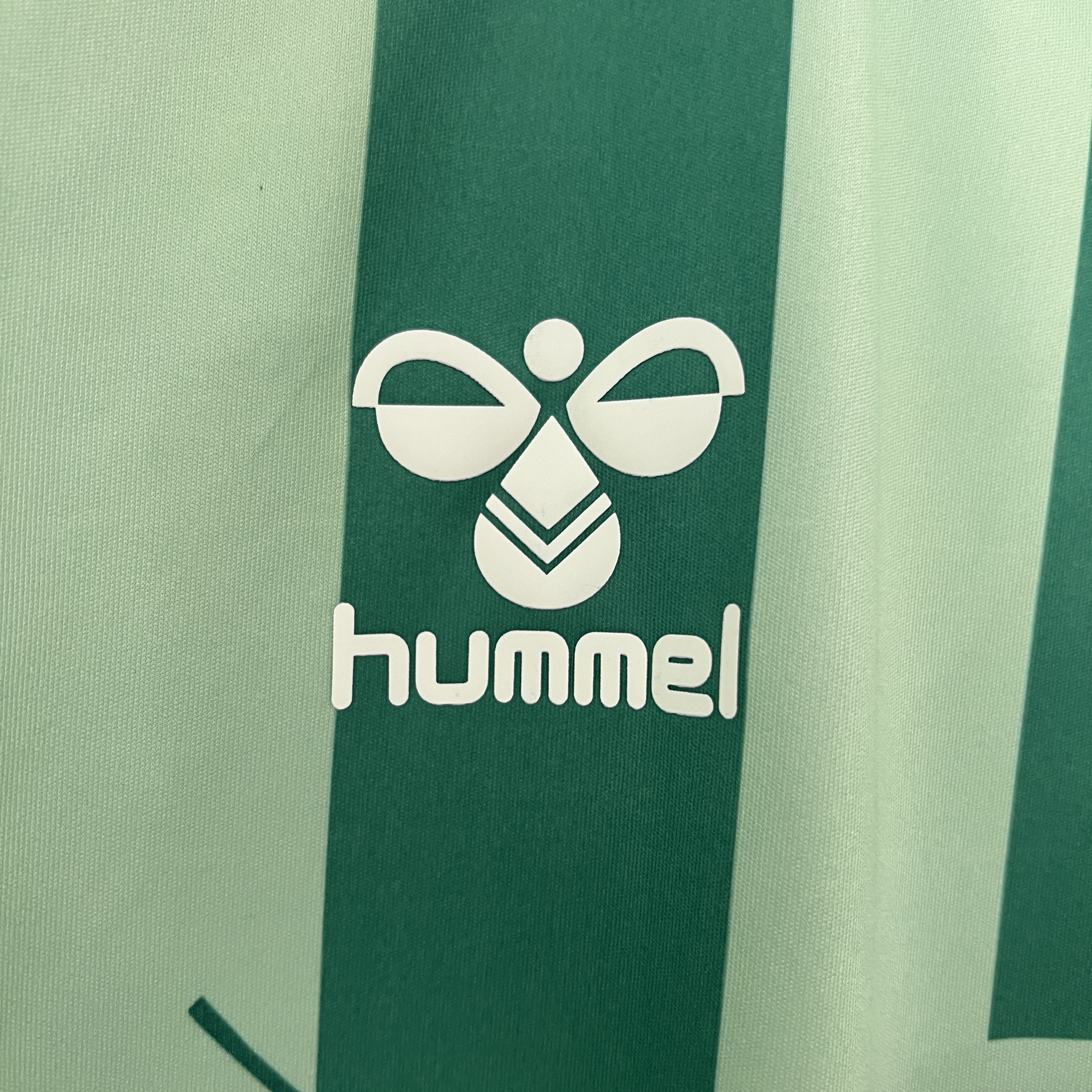 Real Betis 24-25 Special Edition Jersey - Fans Version - SOCCERDEALSHOP