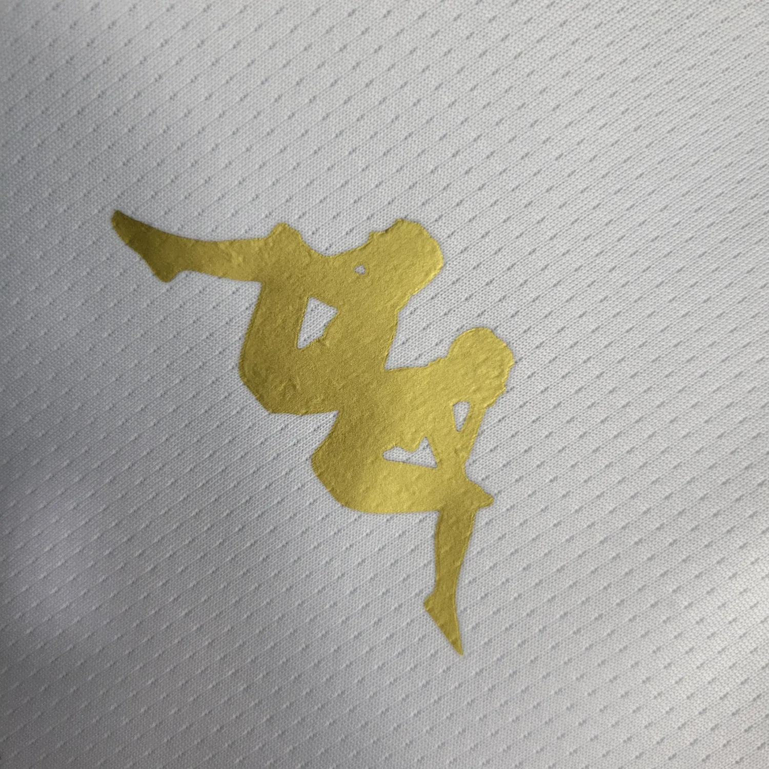 Venezia 23-24 Away Long Sleeve Jersey - Fans Version - SOCCERDEALSHOP