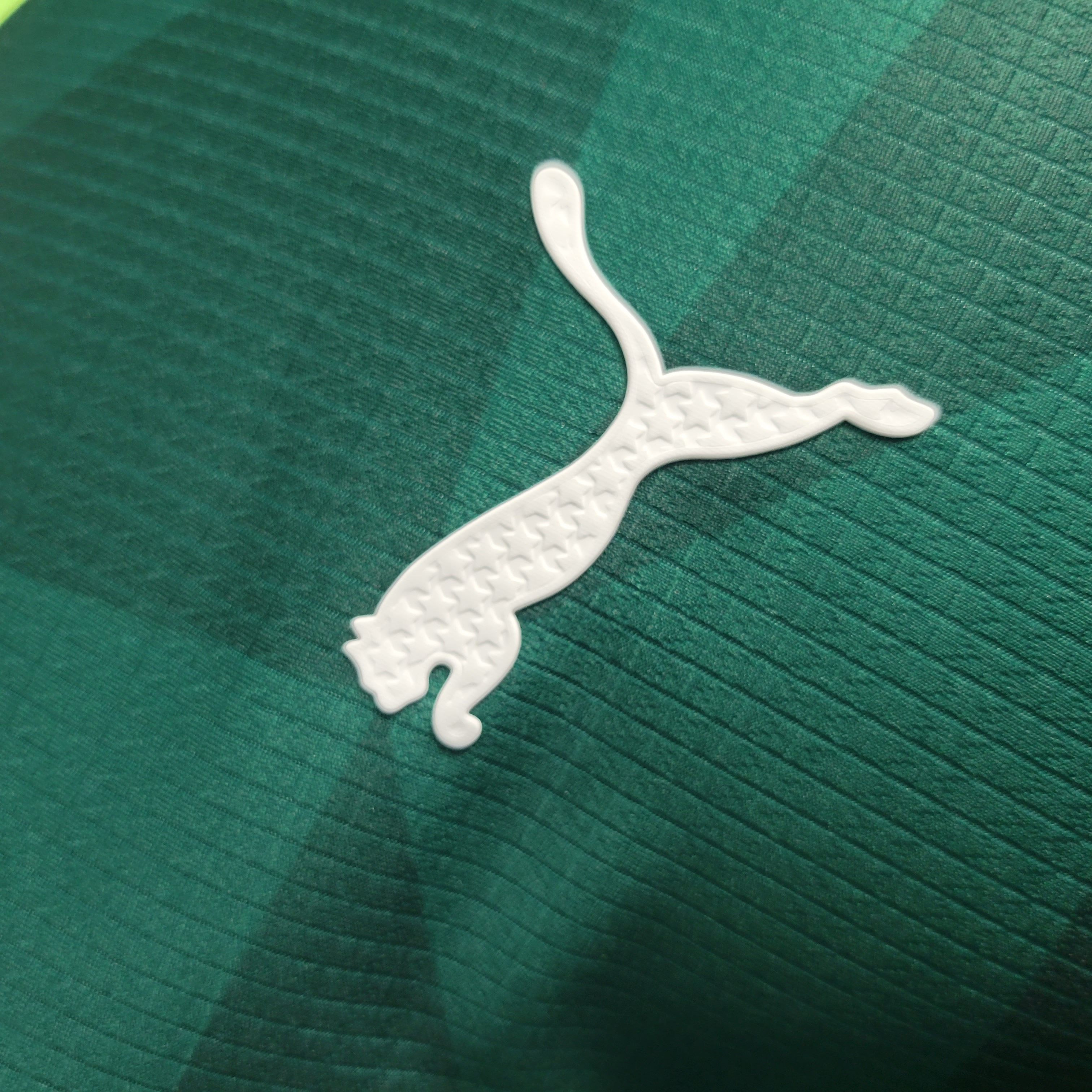 Palmeiras 2023 Home Stadium Jersey - Player Version - SOCCERDEALSHOP