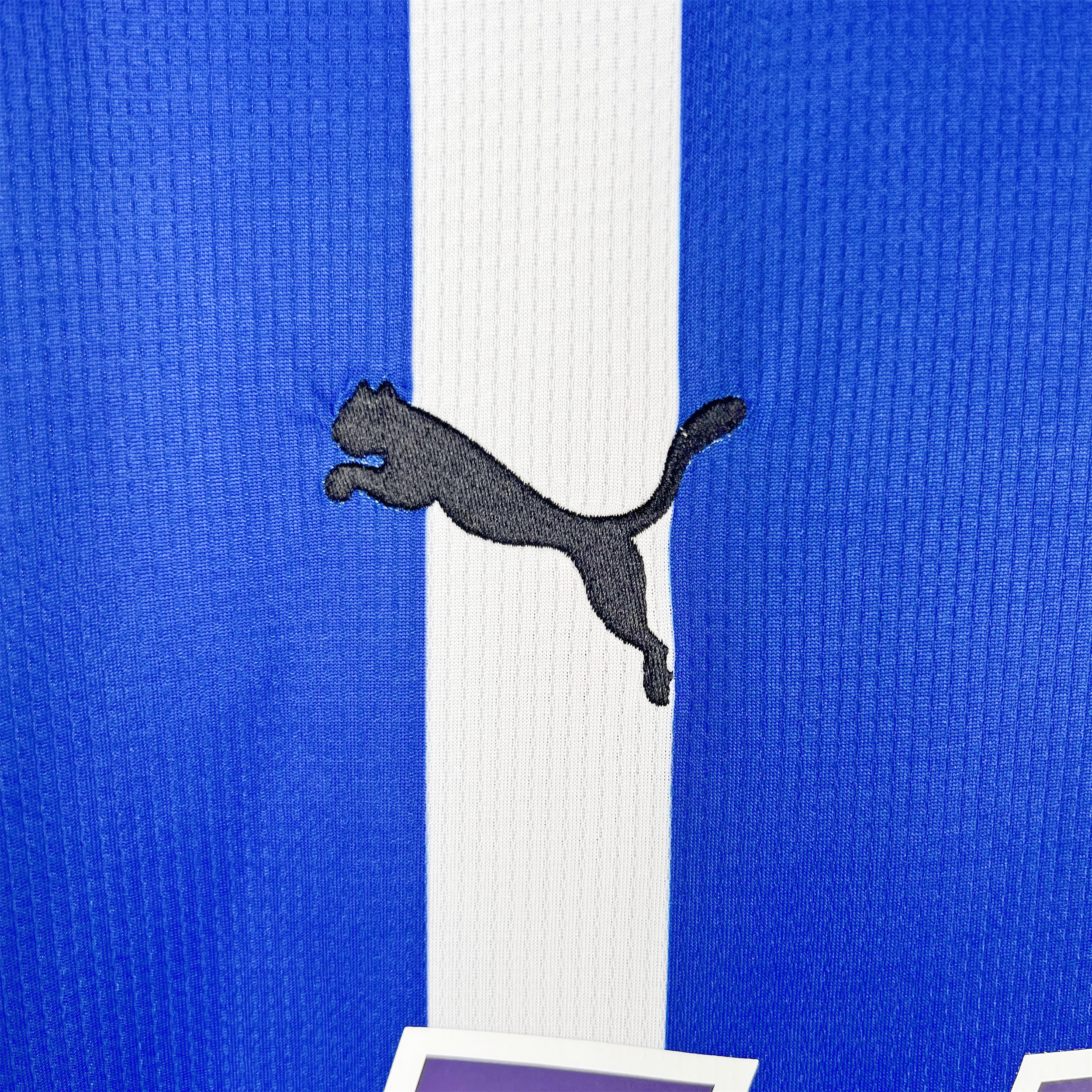 Deportivo Alavés 23-24 Home Stadium Jersey - Fans Version - SOCCERDEALSHOP