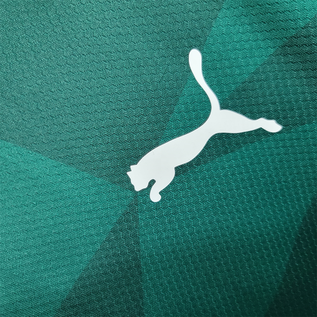 Palmeiras 2023 Home Stadium Jersey - Fans Version - SOCCERDEALSHOP