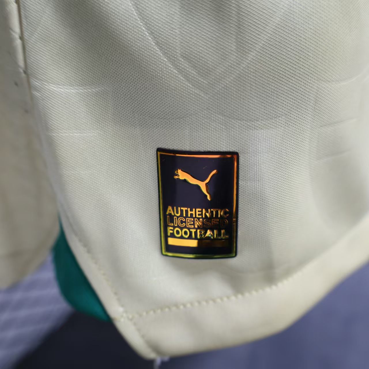 Palmeiras 2024 110-Year Anniversary Jersey - Player Version - SOCCERDEALSHOP