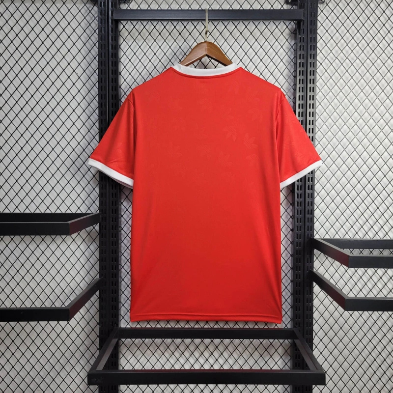 Bayern Munich 24-25 Red Training Jersey - Fans Version - SOCCERDEALSHOP