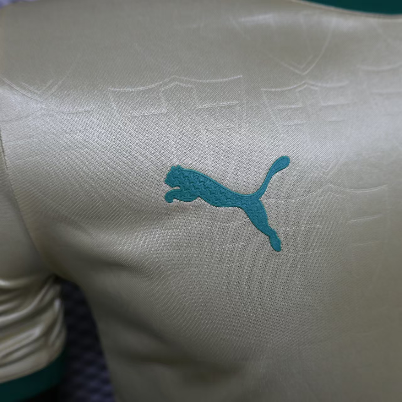 Palmeiras 2024 110-Year Anniversary Jersey - Player Version - SOCCERDEALSHOP