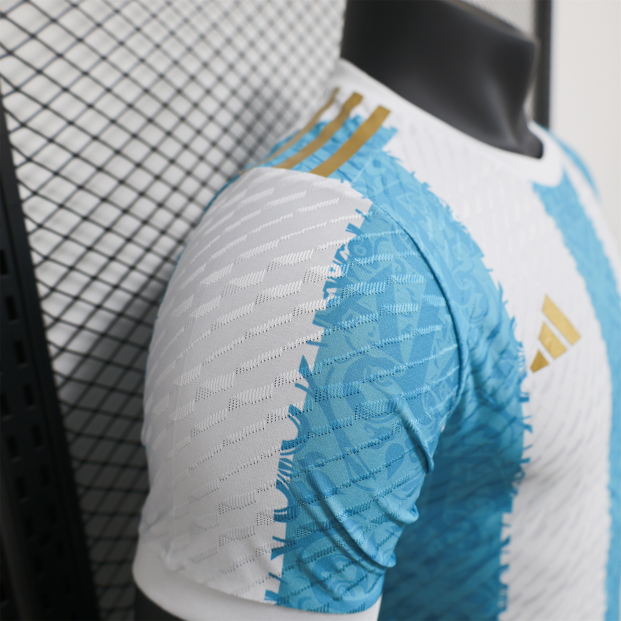 Argentina 2024 Blue and White Stripes Special Edition Jersey - Player Version - SOCCERDEALSHOP