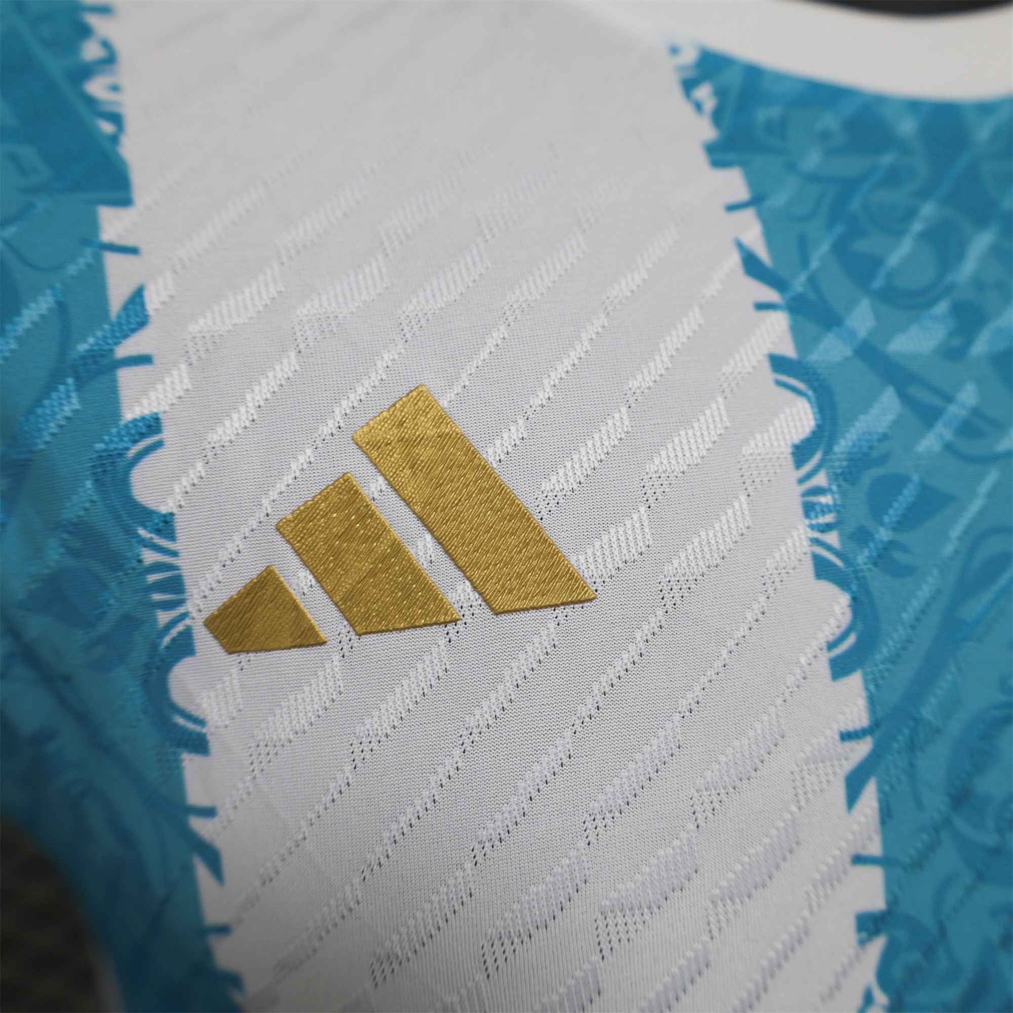 Argentina 2024 Blue and White Stripes Special Edition Jersey - Player Version - SOCCERDEALSHOP