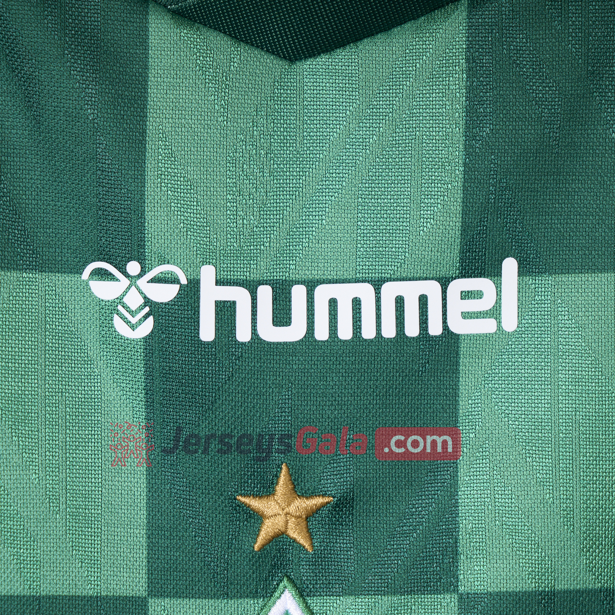 Werder Bremen 24-25 Home Stadium Jersey - Fans Version - SOCCERDEALSHOP