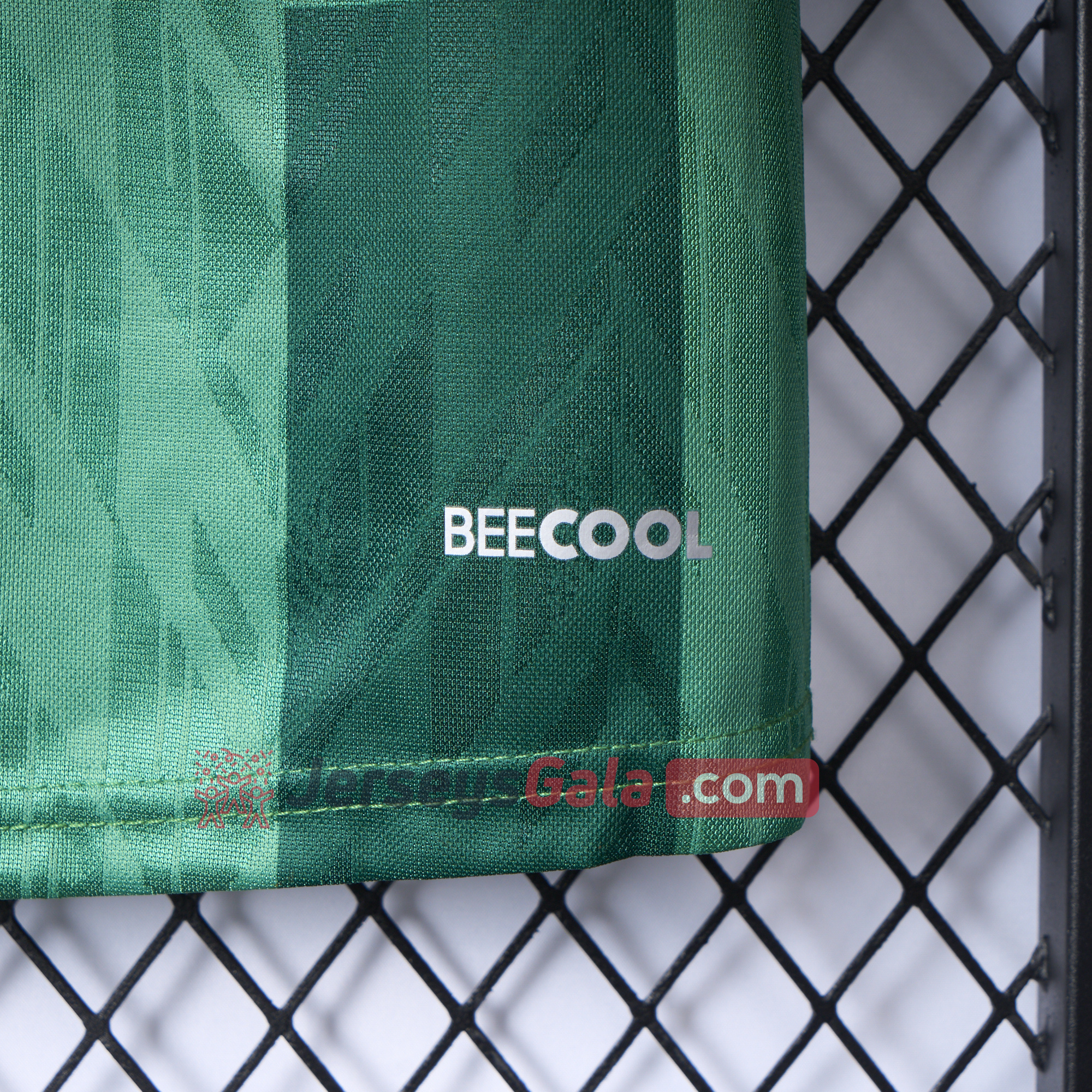 Werder Bremen 24-25 Home Stadium Jersey - Fans Version - SOCCERDEALSHOP