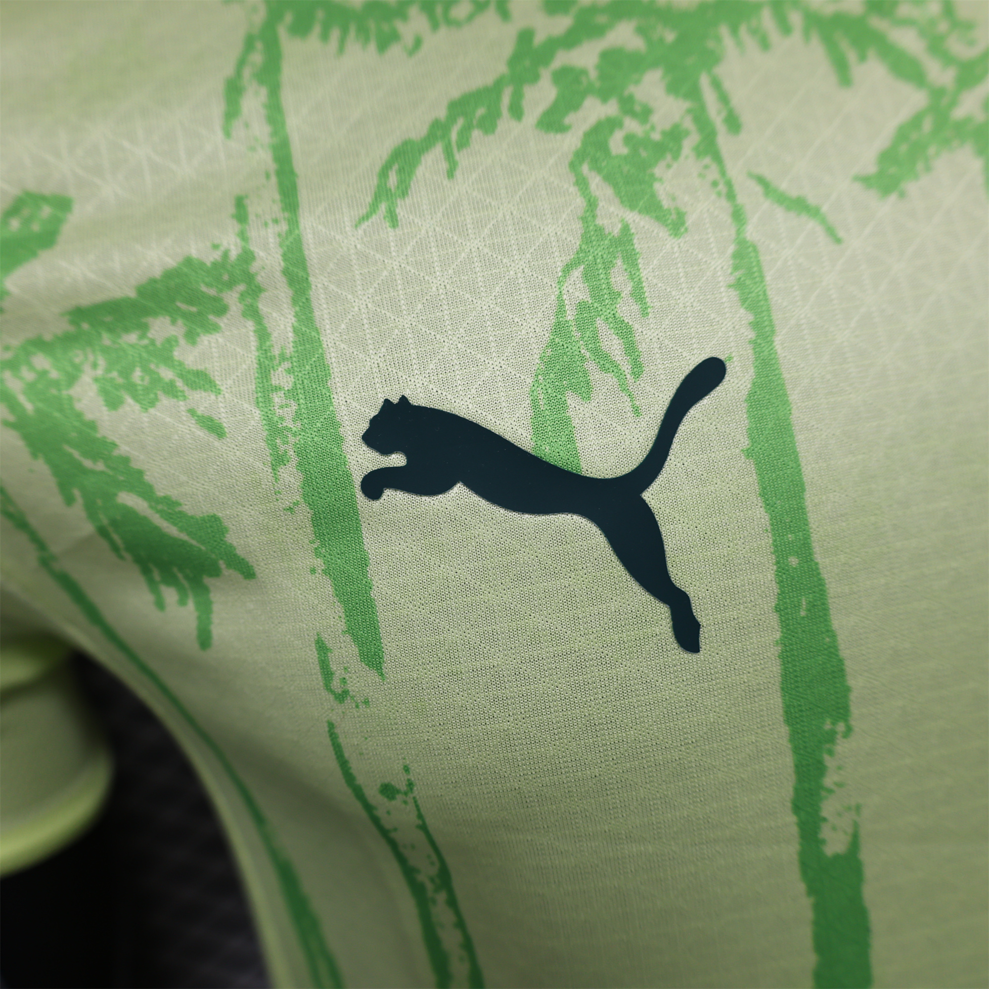 Palmeiras 2025 Away (Informal-release Version) Jersey - Player Version - SOCCERDEALSHOP