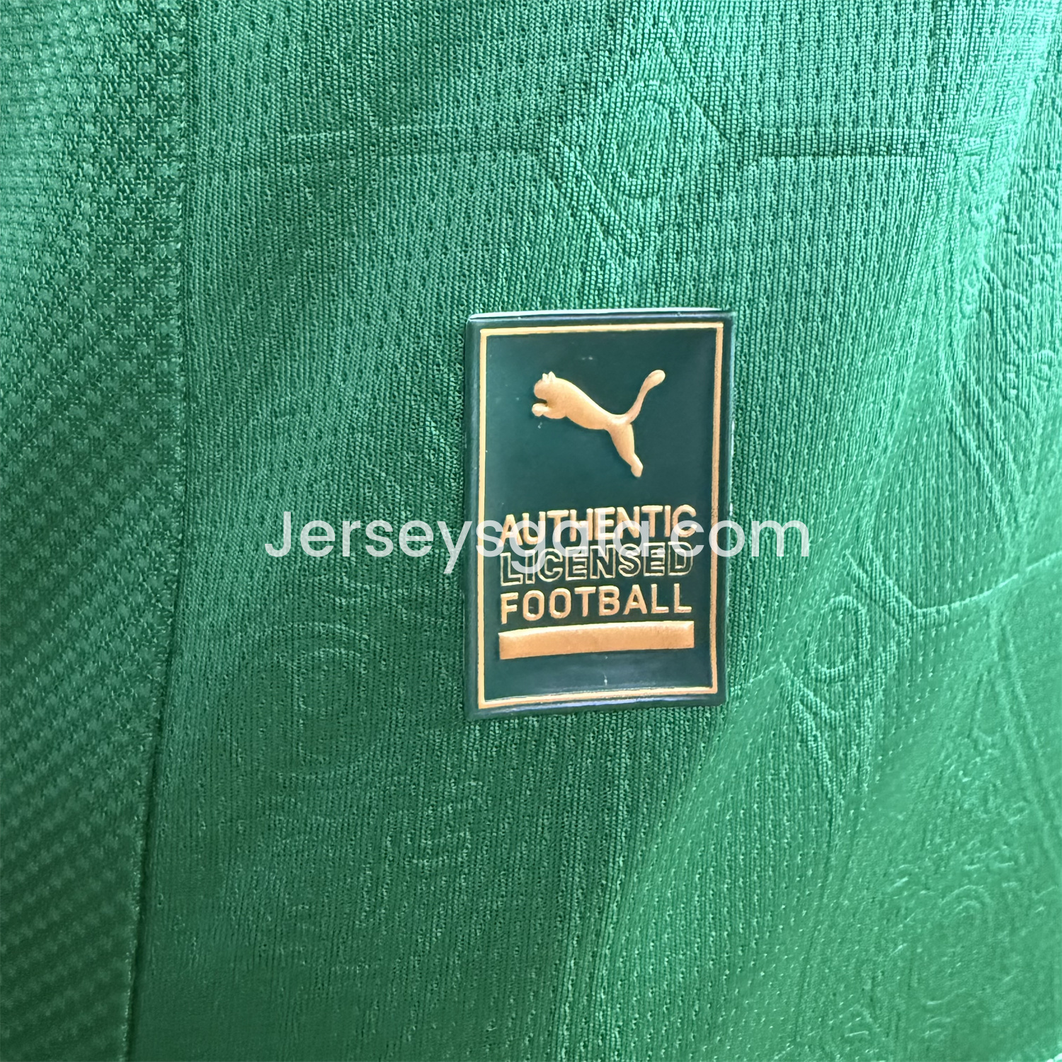 Palmeiras 2025-26 Home Jersey - Player Version - SOCCERDEALSHOP