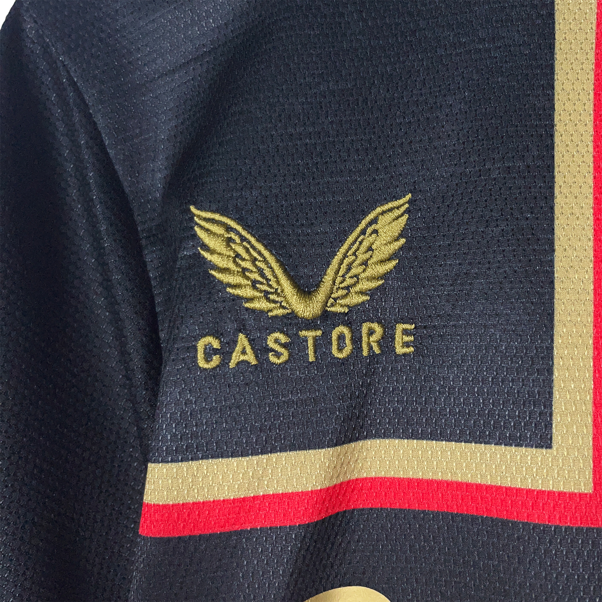 Bayer 04 Leverkusen 23-24 Black & Gold Champion Edition Jersey - Fans Version - SOCCERDEALSHOP