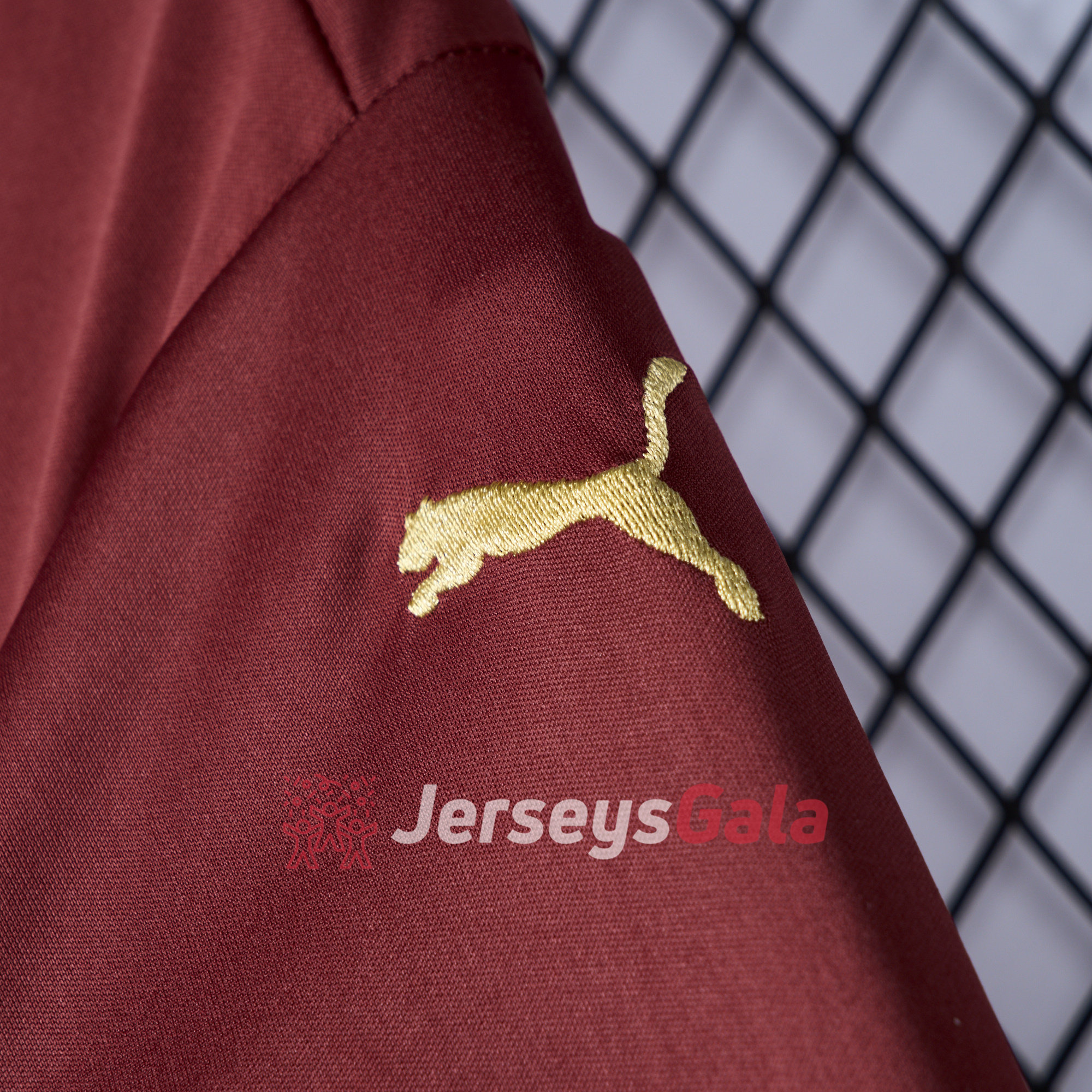 RB Leipzig 24-25 Jingle Special Jersey - Fans Version - SOCCERDEALSHOP