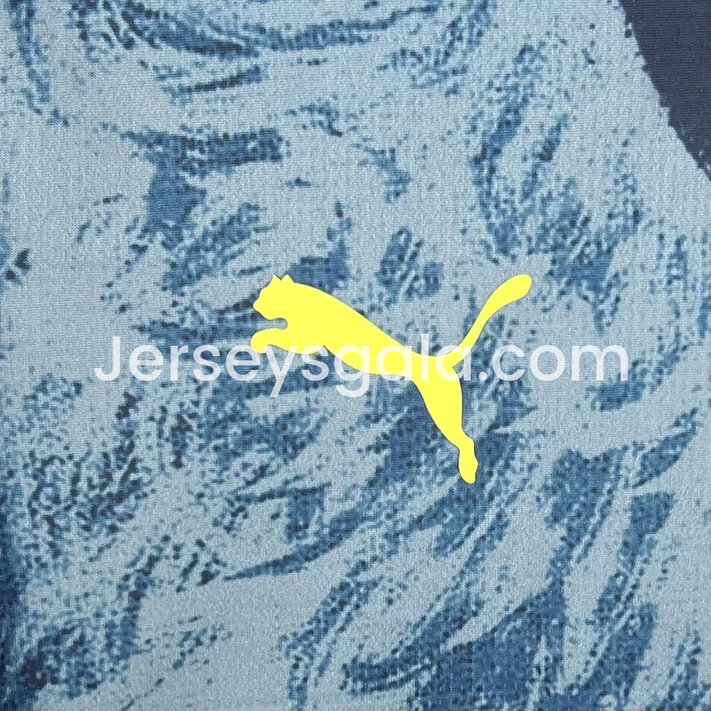 Fenerbahce 24-25 Fourth Jersey - Fans Version - SOCCERDEALSHOP