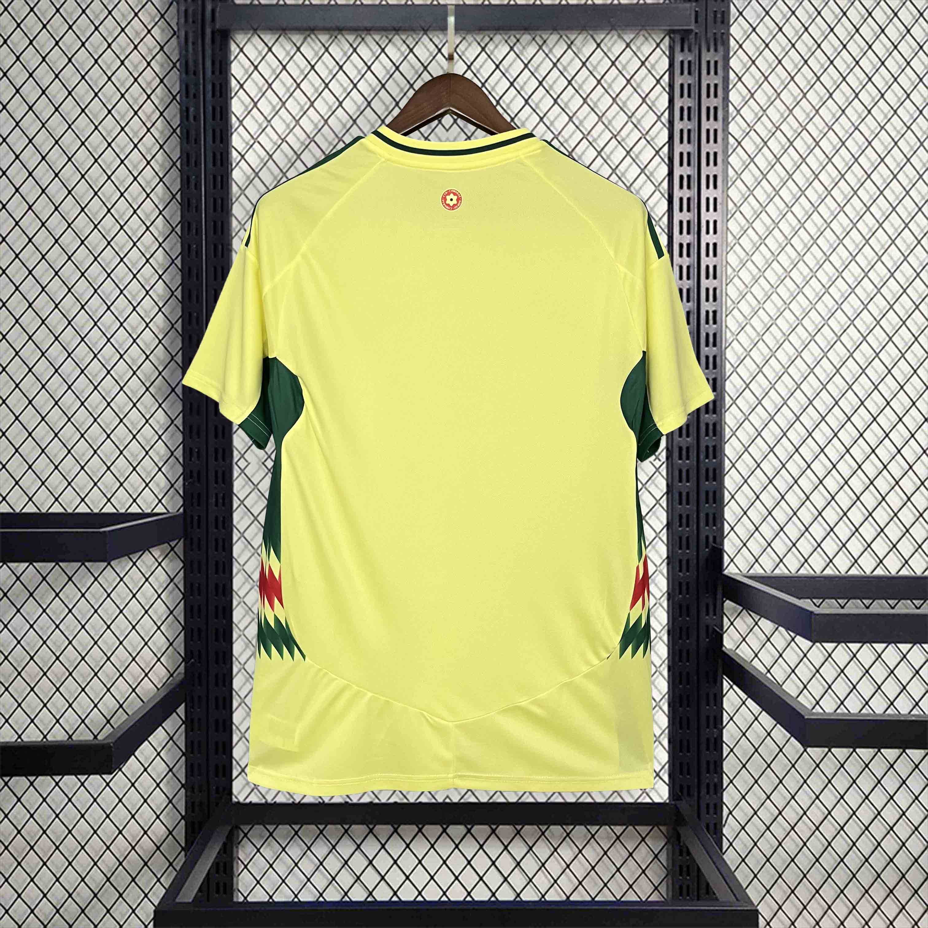 Wales 2024 Away Stadium Jersey - Fans Version - SOCCERDEALSHOP