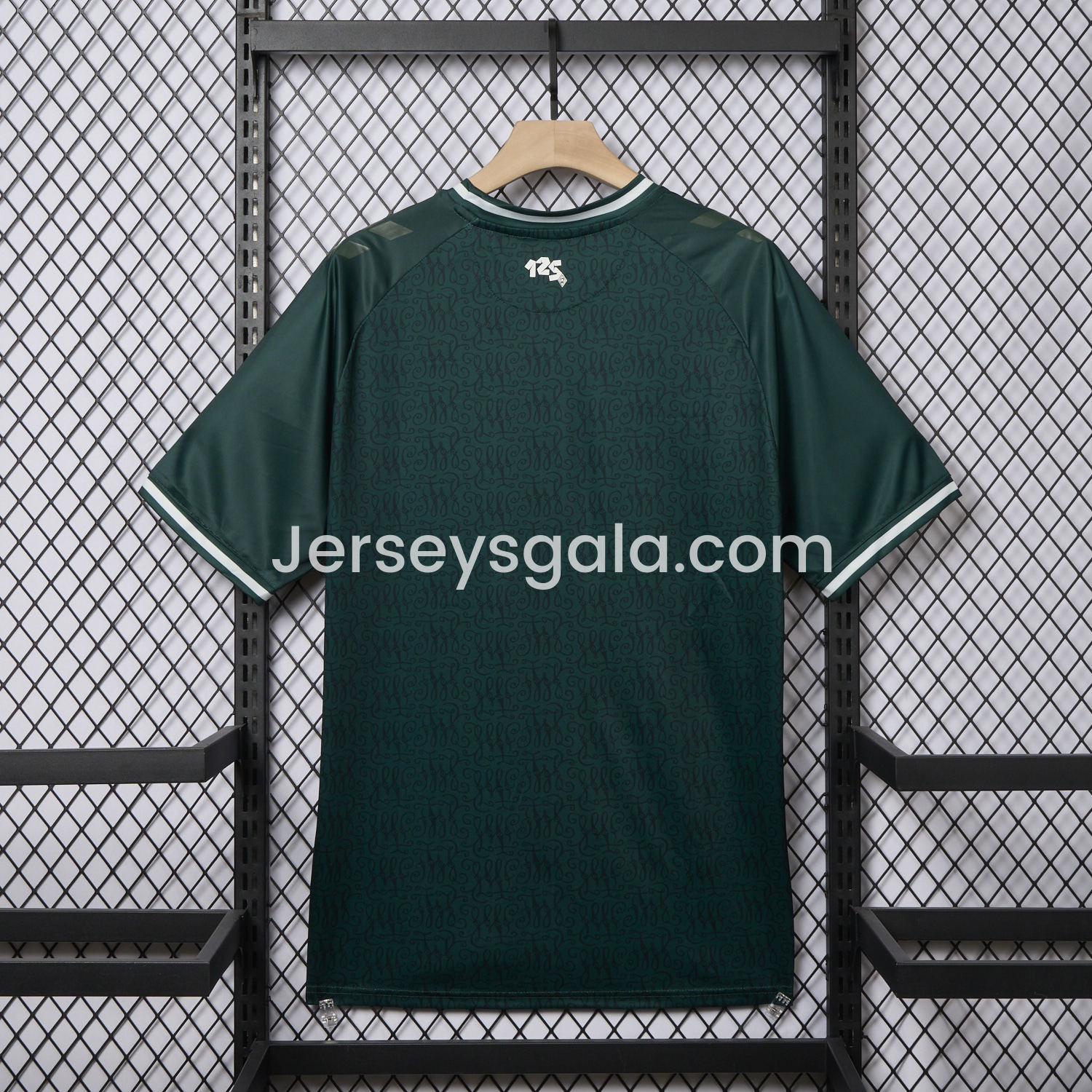 Werder Bremen 23-24 125th Anniversary Jersey - Fans Version - SOCCERDEALSHOP