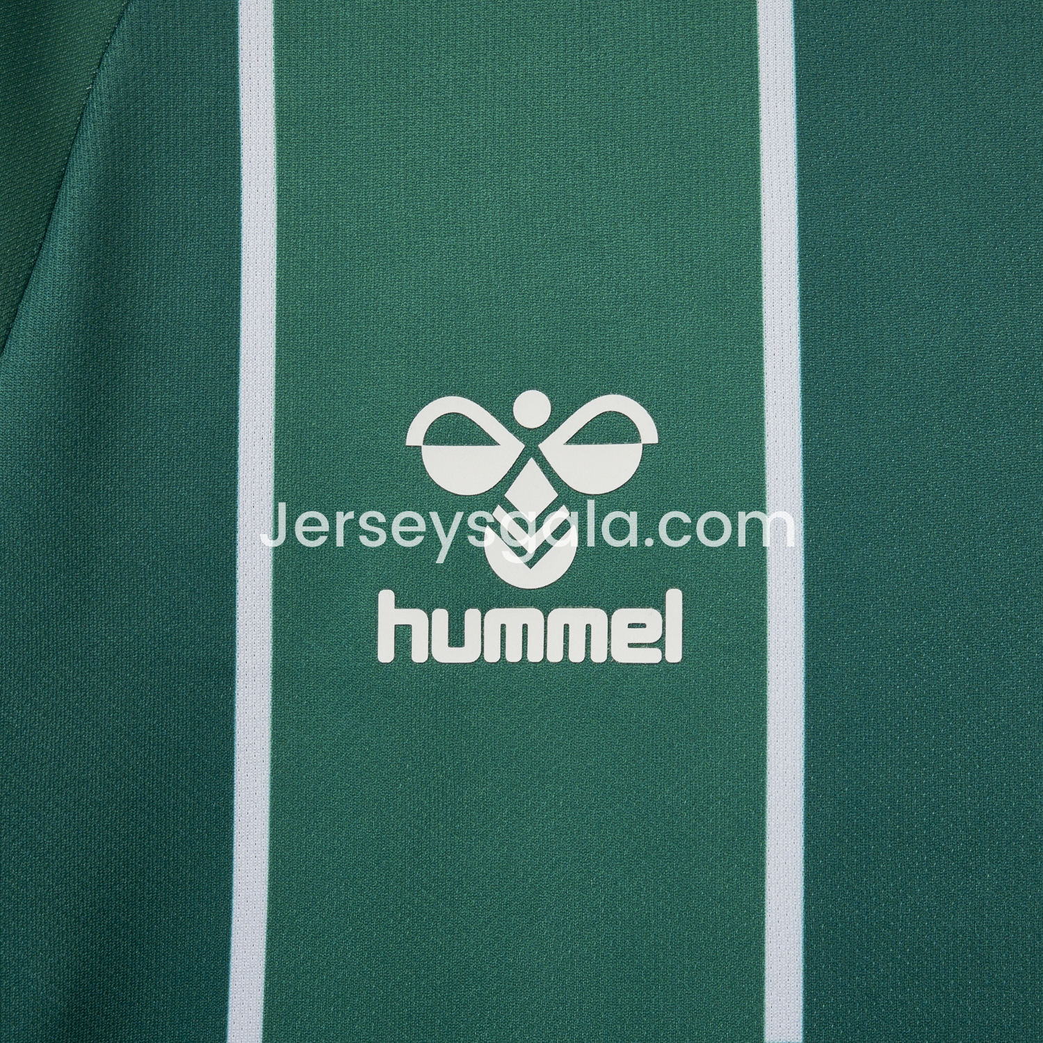 Werder Bremen 25-26 Home Jersey(Leaked Version) - Fans Version - SOCCERDEALSHOP