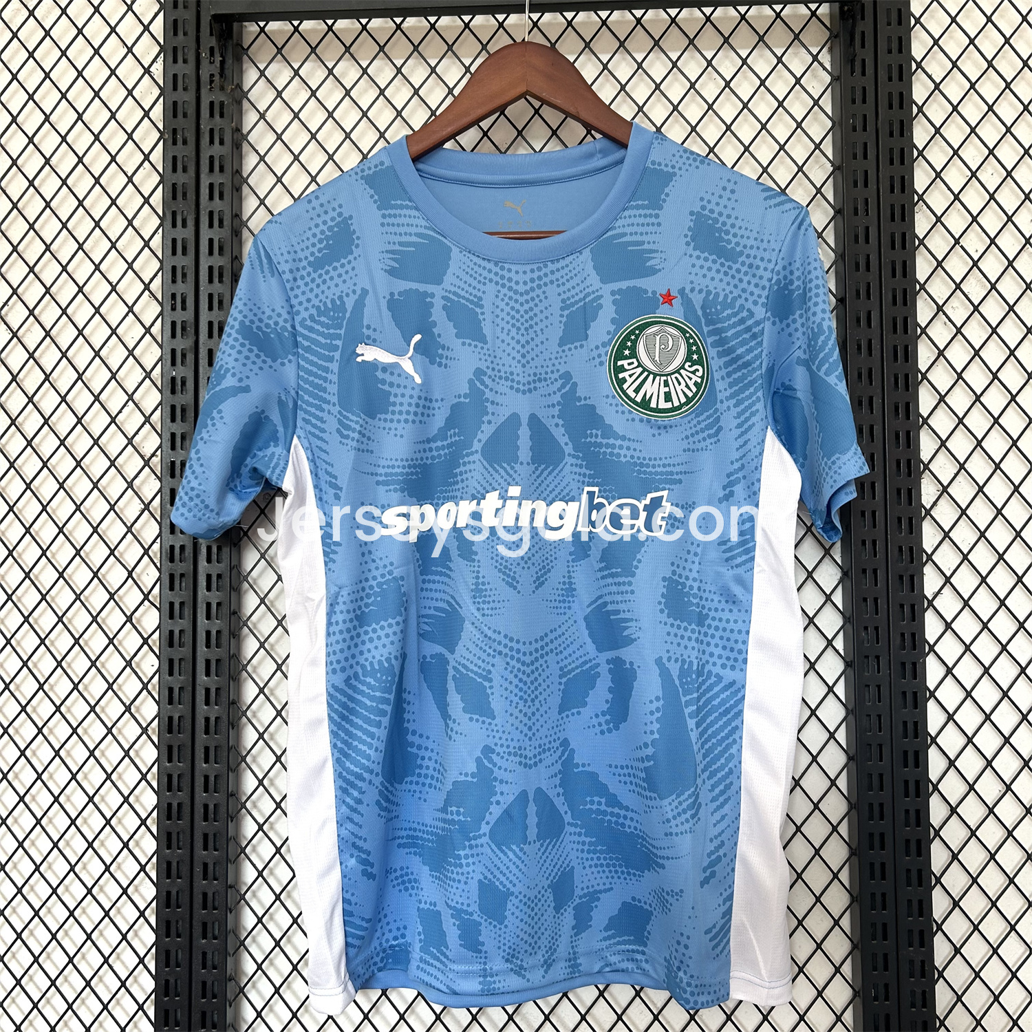 Palmeiras 25-26 Blue Goalkeeper Jersey - Fans Version - SOCCERDEALSHOP