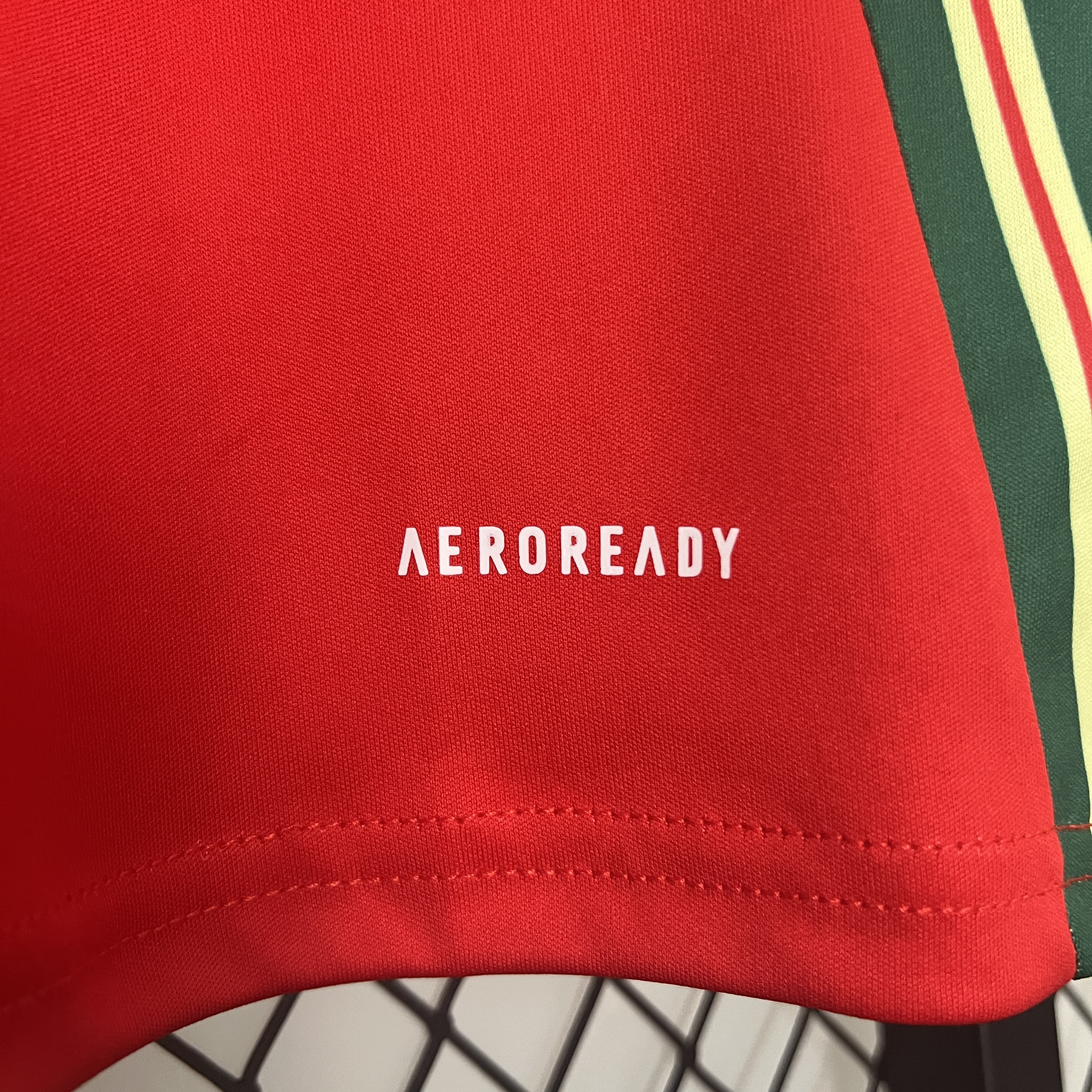 Wales 2024 Home Stadium Jersey - Fans Version - SOCCERDEALSHOP