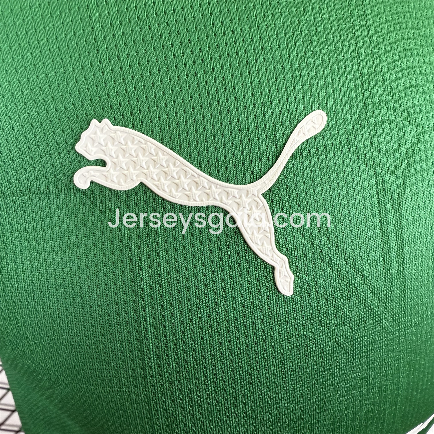 Palmeiras 2025-26 Home Jersey - Player Version - SOCCERDEALSHOP