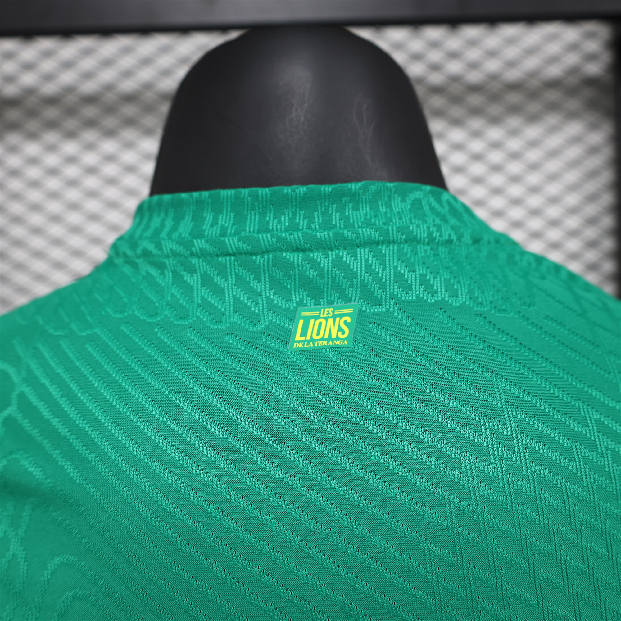 Senegal 24-25 Away Green Jersey - Player Version - SOCCERDEALSHOP