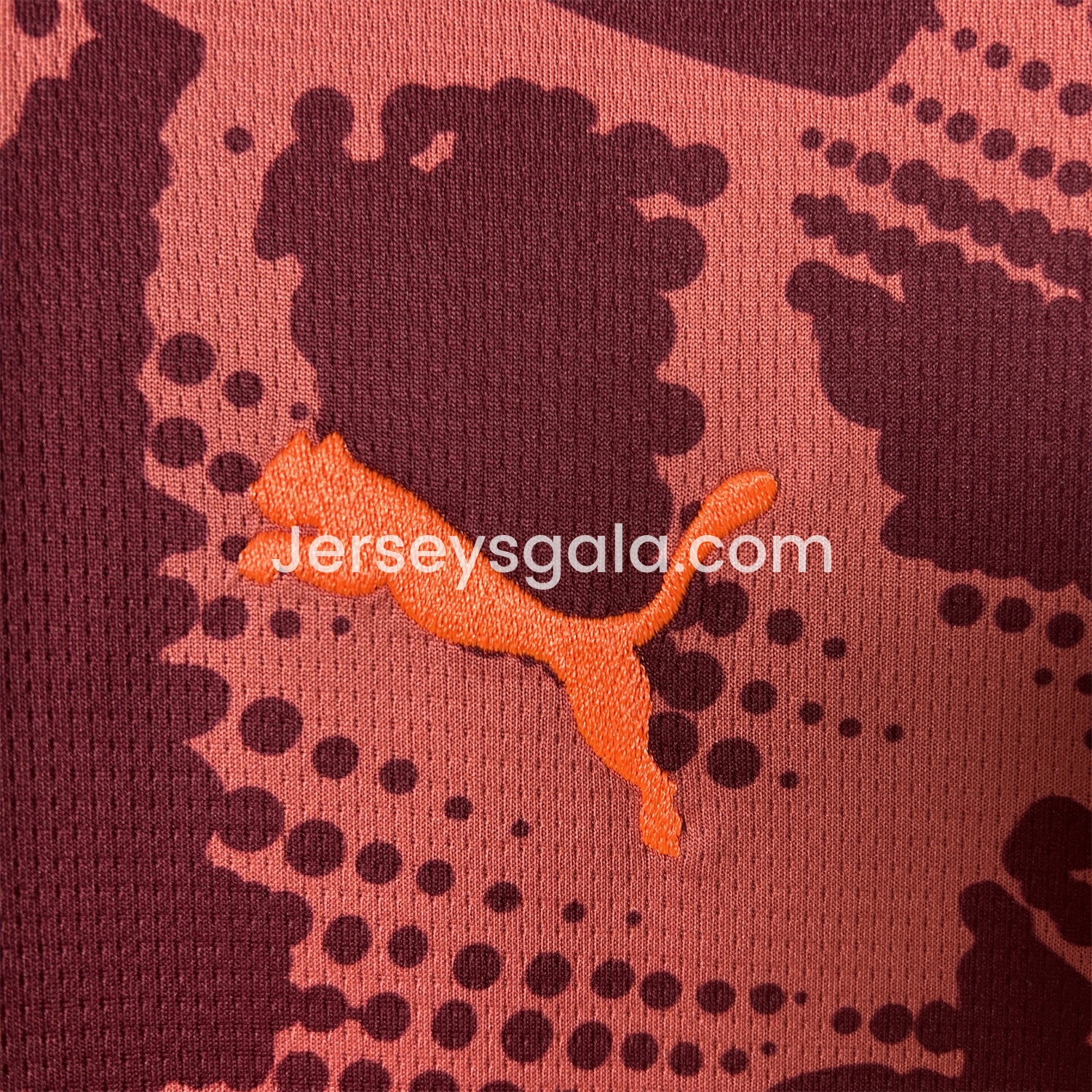 Palmeiras 25-26 Red Goalkeeper Jersey - Fans Version - SOCCERDEALSHOP