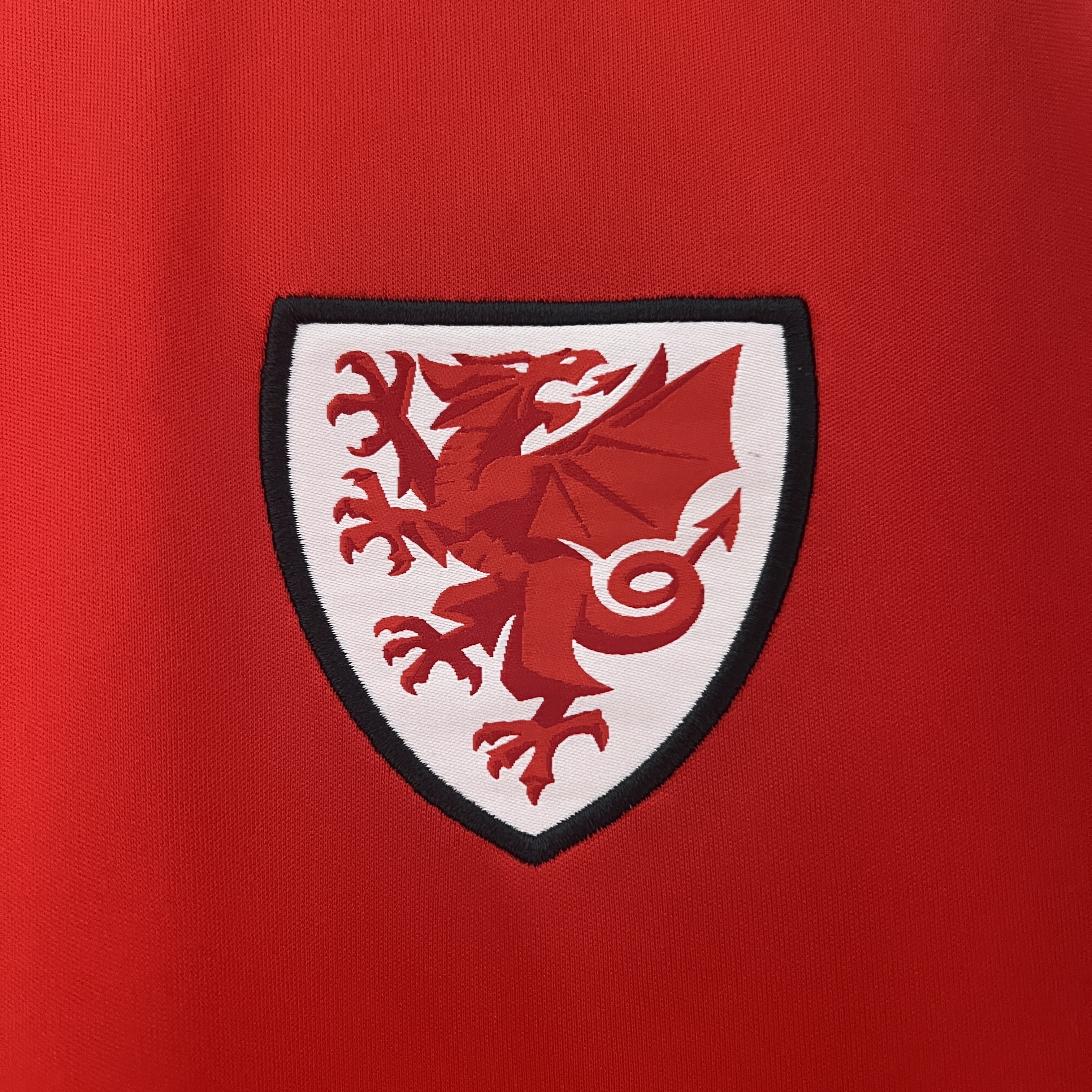 Wales 2024 Home Stadium Jersey - Fans Version - SOCCERDEALSHOP