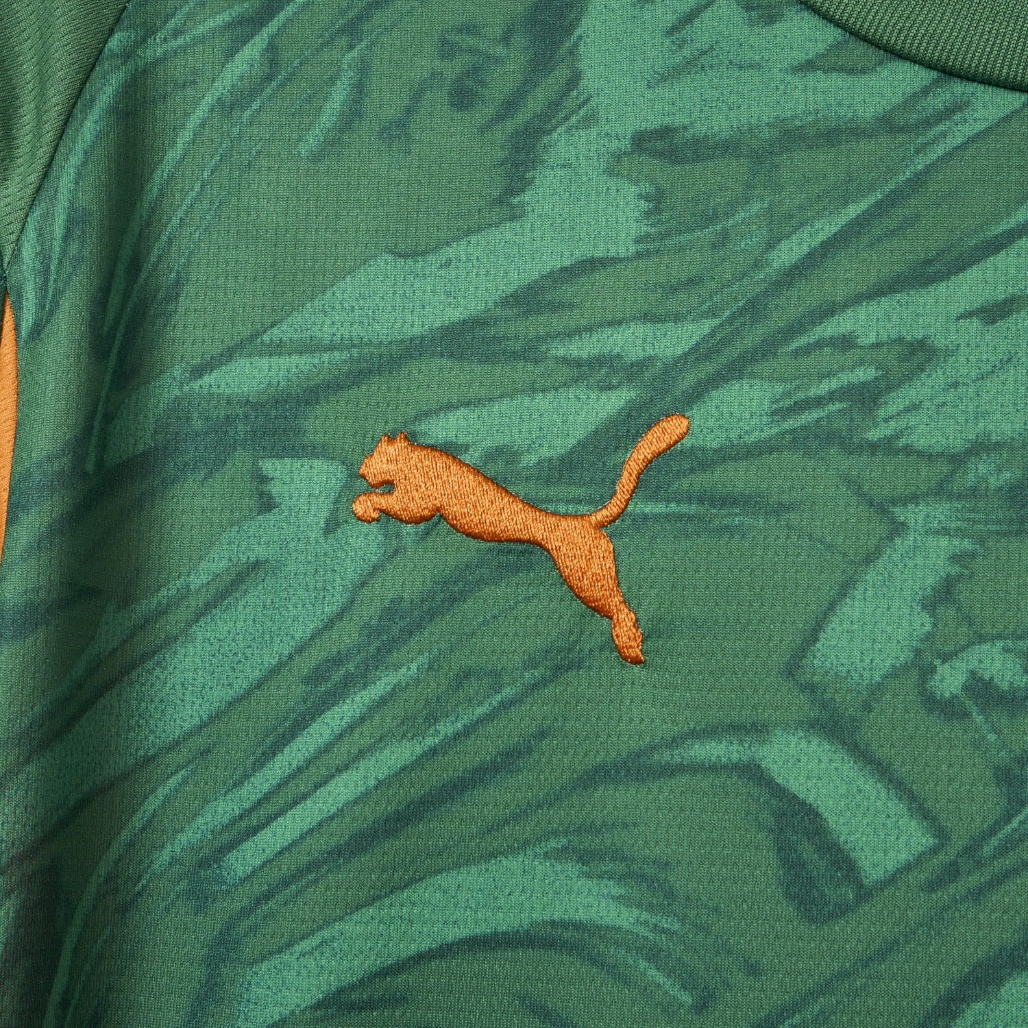 Dortmund 25-26 Green Goalkeeper Unsponsored Jersey - Fans Version - SOCCERDEALSHOP