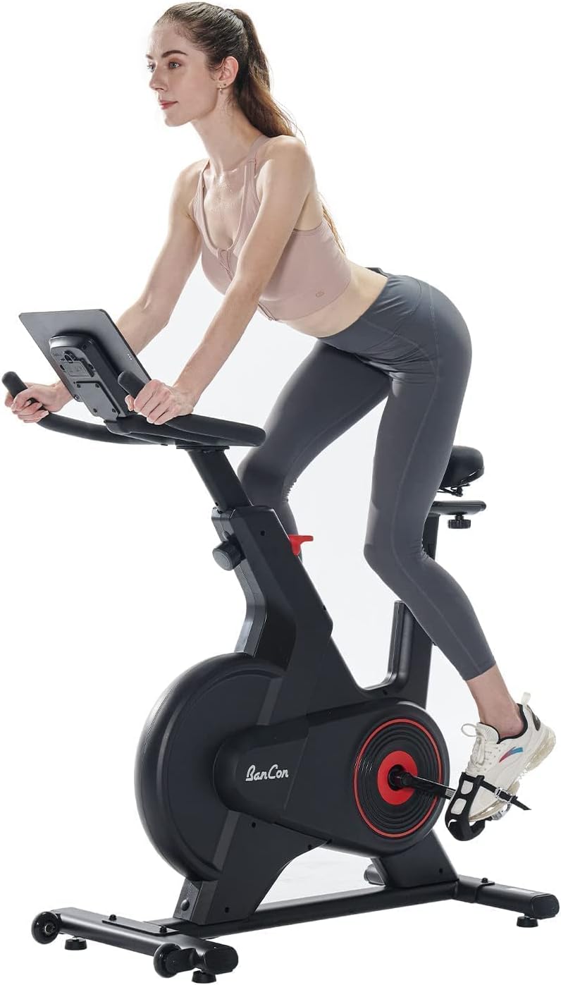 Exercise Bike, Adjustable Magnetic Resistance Stationary Bikes For Home  With App