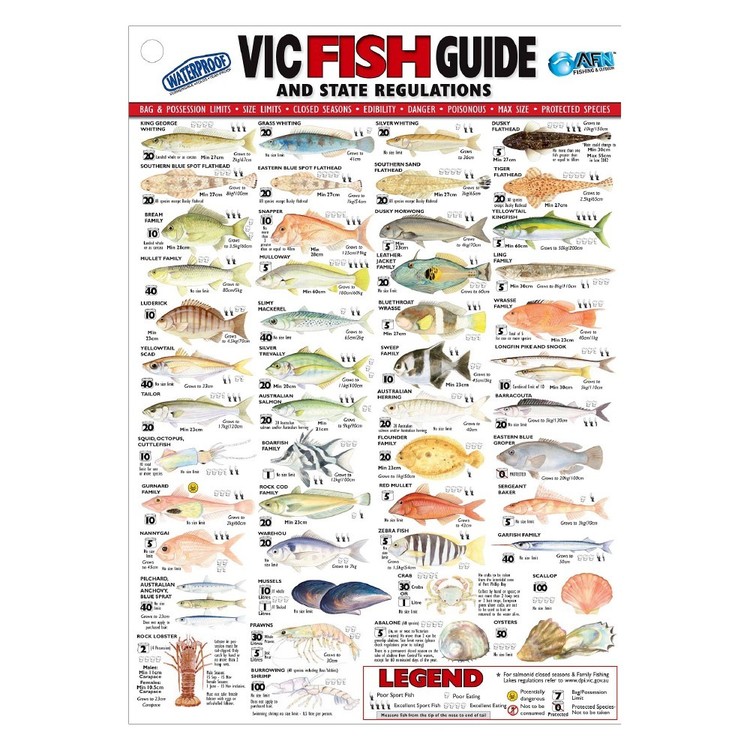 Australian Fishing Network State Fish ID Card Victoria