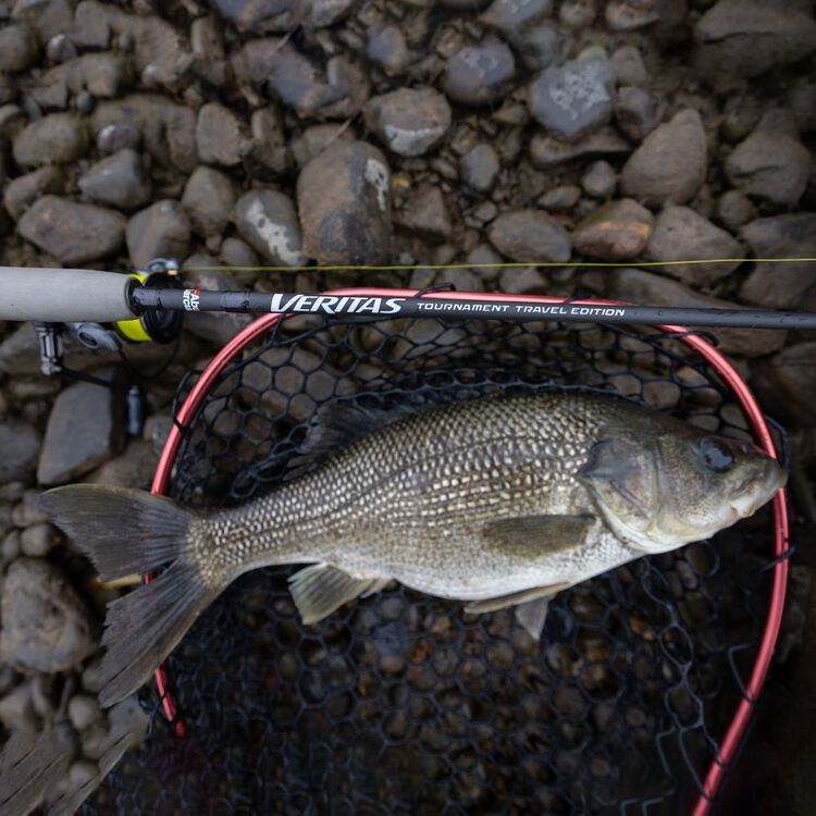 Abu Garcia Veritas 9ft 3 Piece Heavy 6-10kg Tournament Travel Spinning Rod Multicolour 9Ft H/6-10Kg