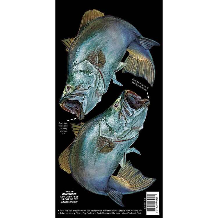 AFN Retro Style Fish Sticka Barramundi Grey