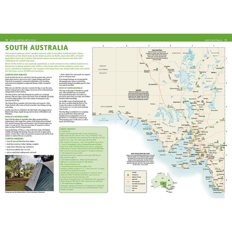 Bush Camping With Dogs Guide White