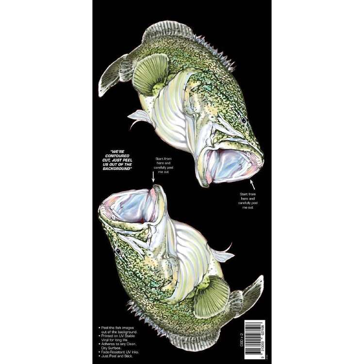 AFN Retro Style Fish Sticka Murray Cod Green