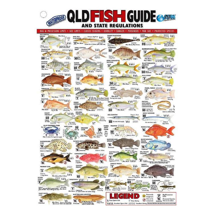 Australian Fishing Network State Fish ID Card Queensland