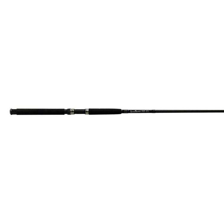 Wilson Love Fibre Champion Trophy 10'6" 2pc 4-6kg Surf Rod