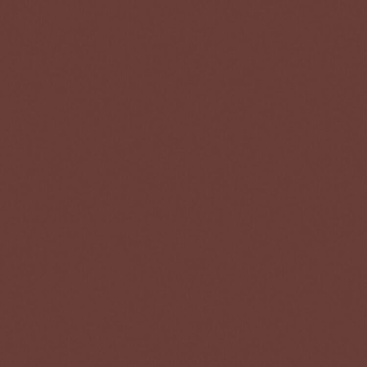 Columbia Men's Silver Ridge Cargo Shorts Light Raisin