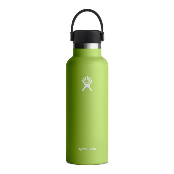 Hydro Flask Hydration Standard Mouth 18oz (532ml) Flask Seagrass