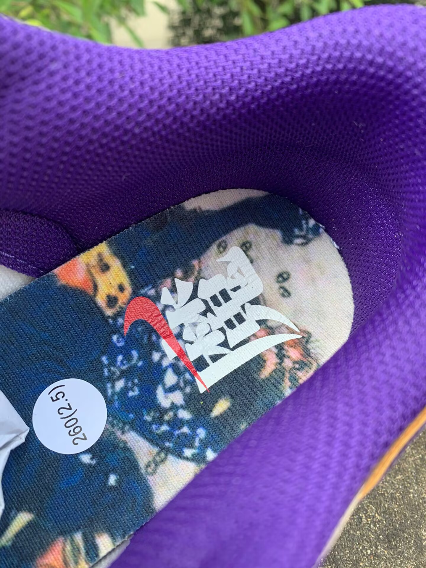 dunk demon brown dp5009-268