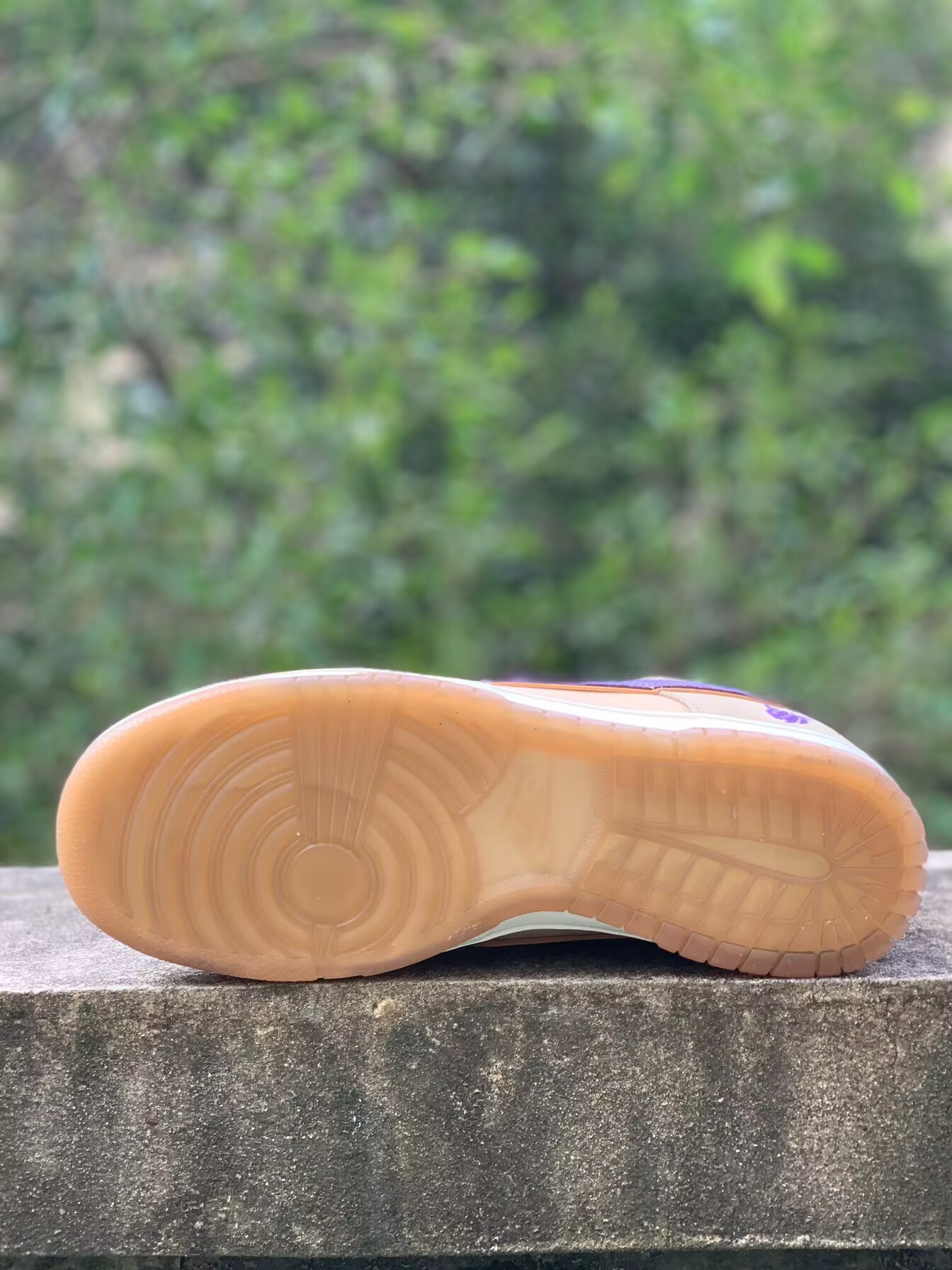 dunk demon brown dp5009-268