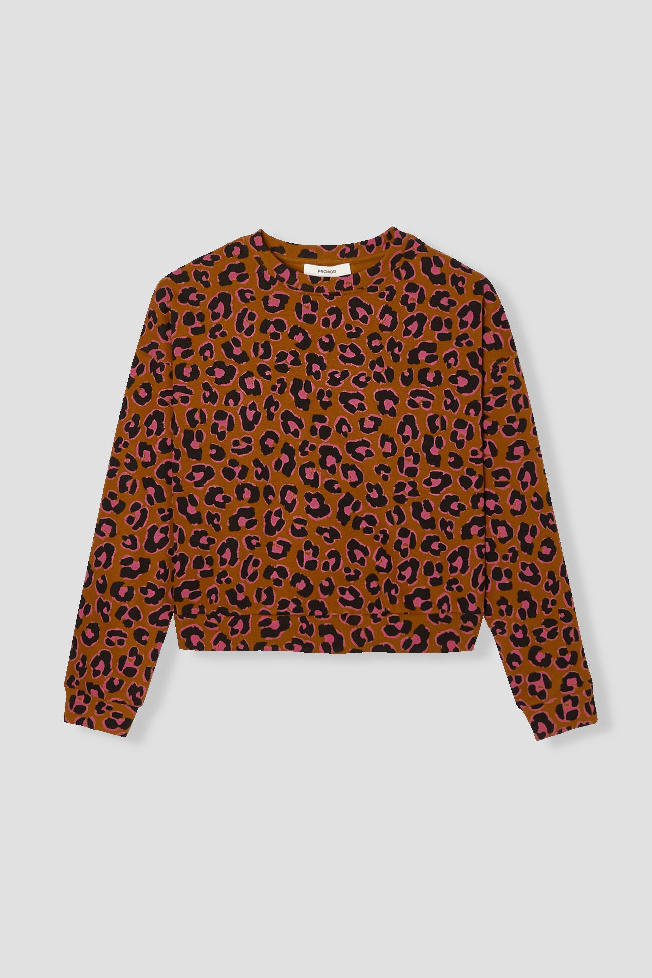 Leopard pattern sweatshirt - Multicolour print