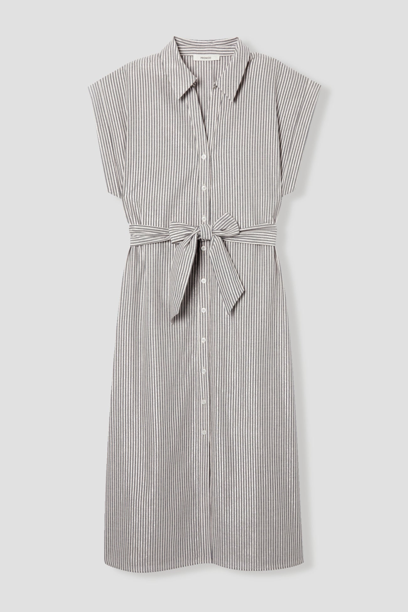 Striped shirtdress - Blue stripes