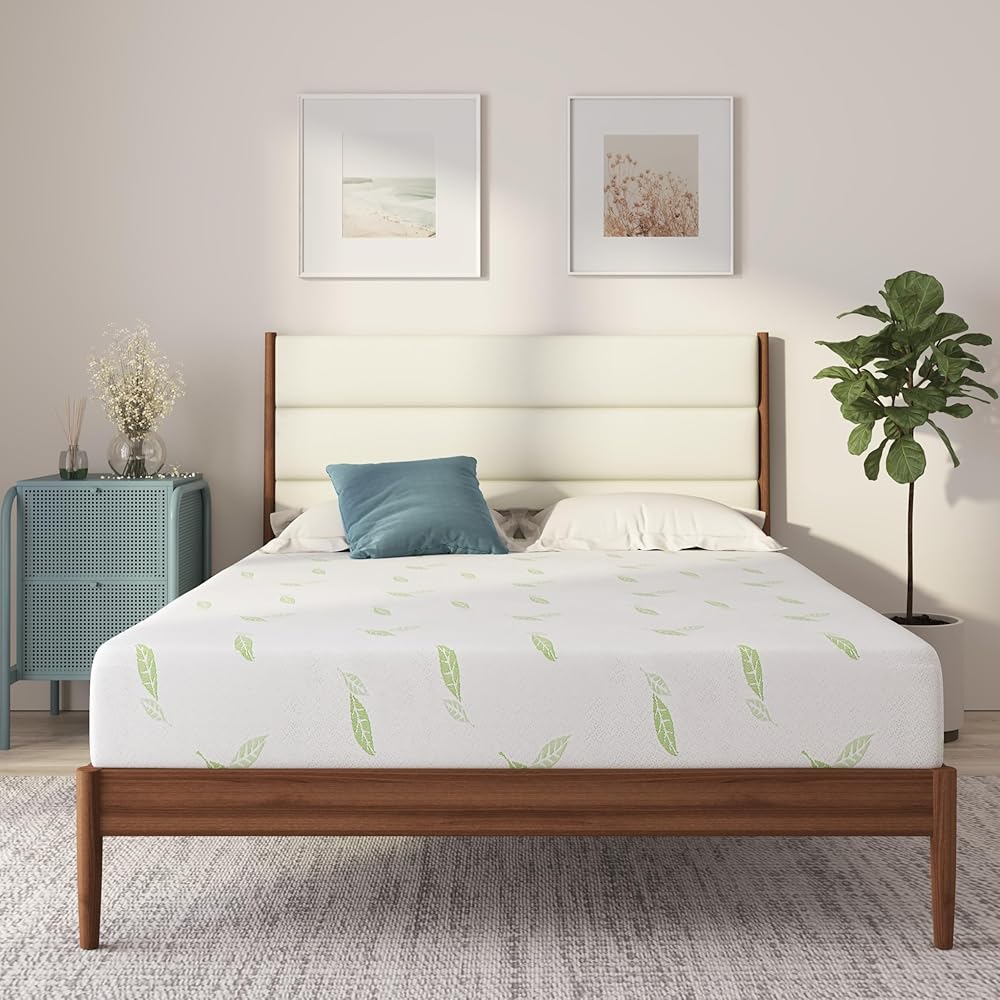 NapQueen Twin Size Green Tea Infused Memory Foam Mattress, 12 Inch, CertiPUR-US Certified : Home & Kitchen
