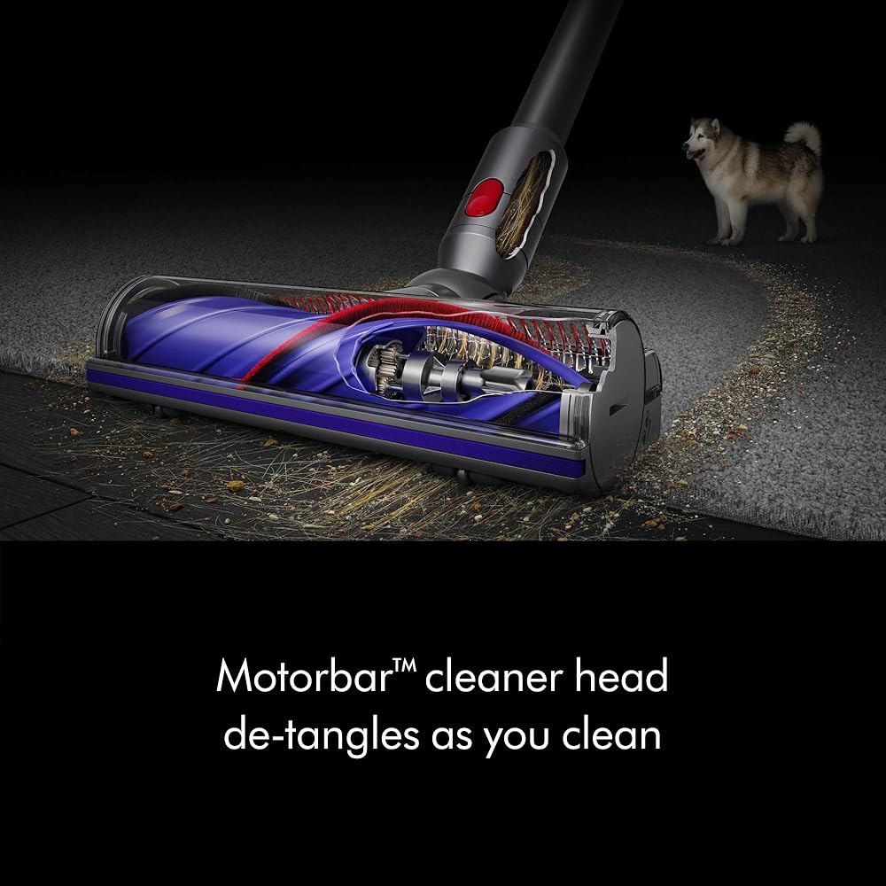 Dyson V8 Plus Cordless Vacuum, Silver/Nickel : Home & Kitchen