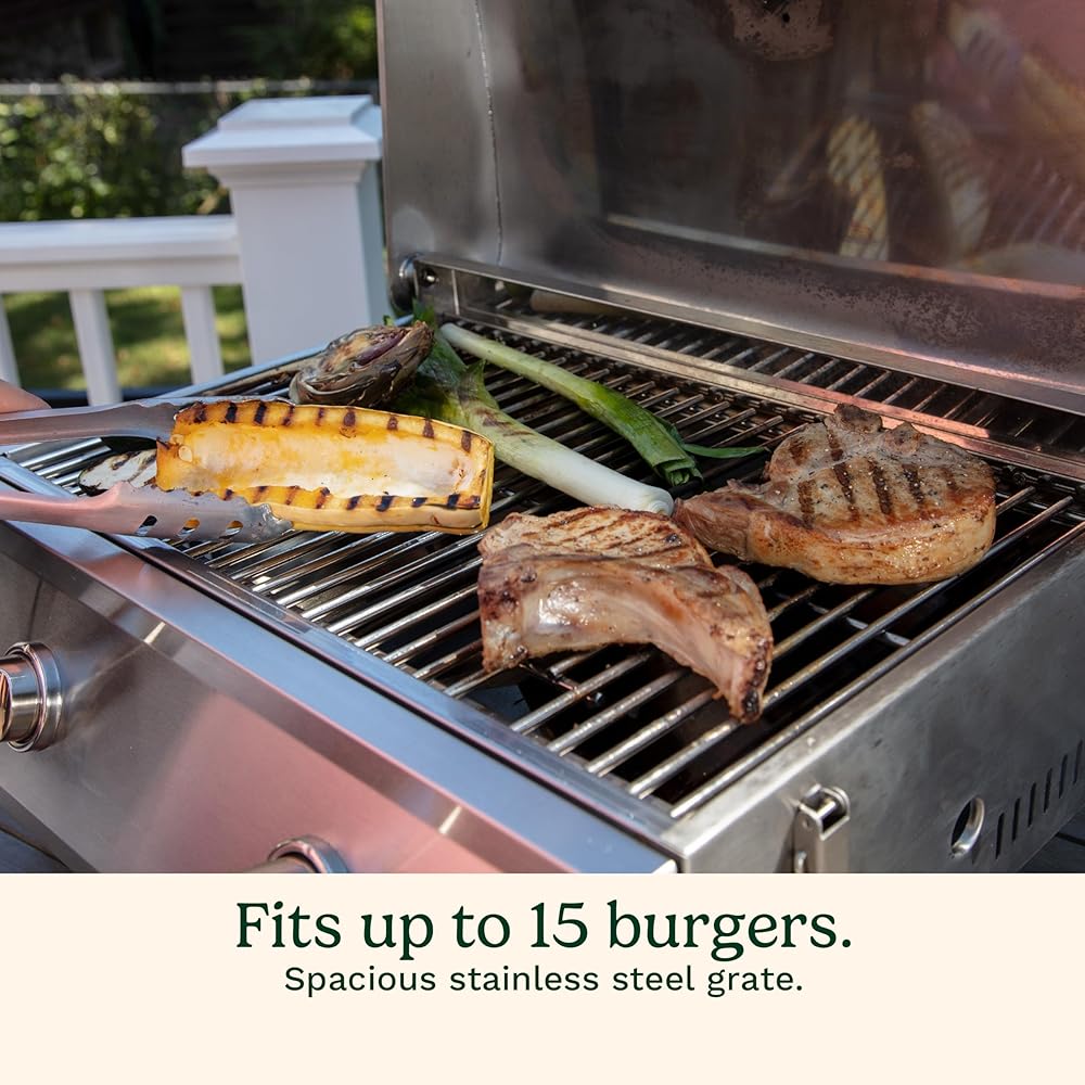 Cuisinart Chef's Style Tabletop Portable Propane Gas Grill, 20,000 BTU Stainless Steel 2-Burner Outdoor BBQ Grill for Camping, Tailgates, BBQ, Hassle-Free Setup : Patio, Lawn & Garden