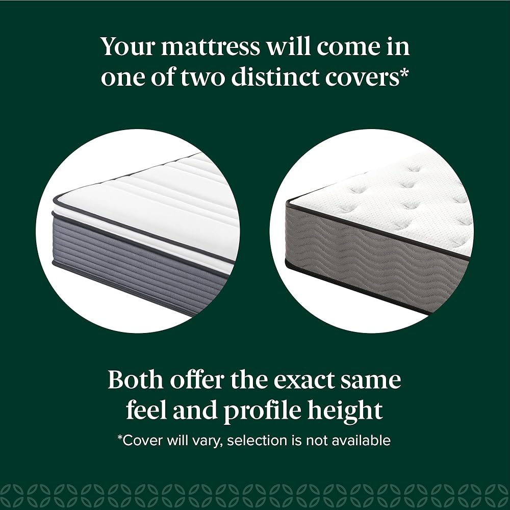 ZINUS 10 Inch True Support Hybrid Mattress [New Version], Queen, Fiberglass Free, Medium Feel, Motion Isolation, Certified Safe Foams & Fabric, Mattress in A Box : Home & Kitchen